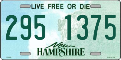 NH license plate 2951375
