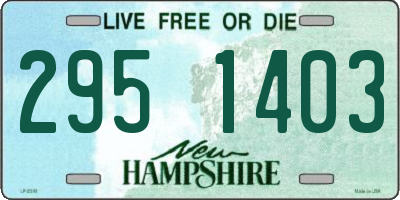 NH license plate 2951403