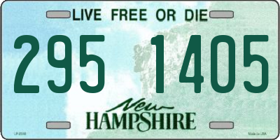 NH license plate 2951405