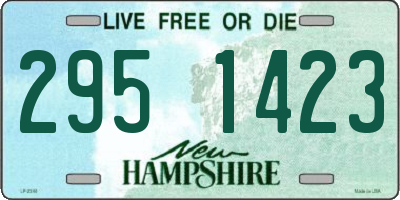 NH license plate 2951423
