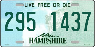 NH license plate 2951437