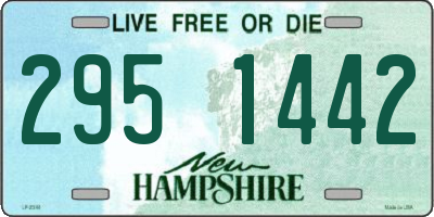NH license plate 2951442