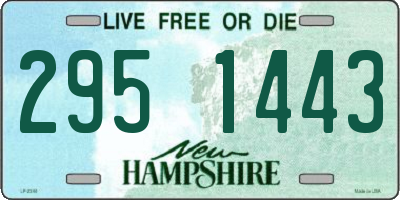 NH license plate 2951443