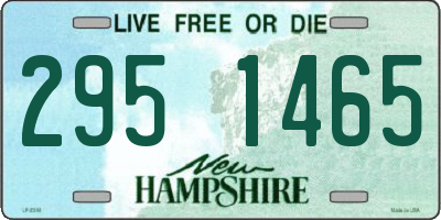 NH license plate 2951465
