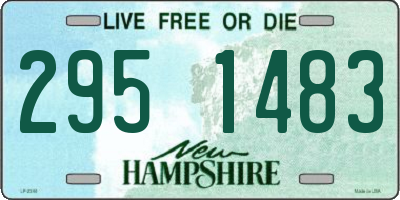 NH license plate 2951483