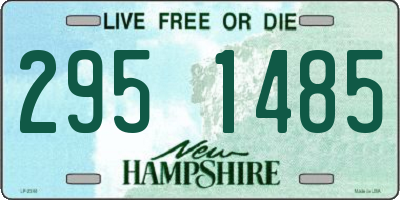 NH license plate 2951485