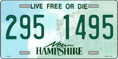 NH license plate 2951495