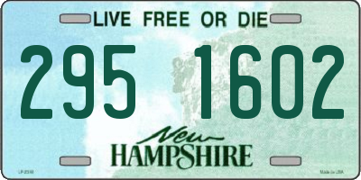 NH license plate 2951602