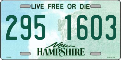 NH license plate 2951603