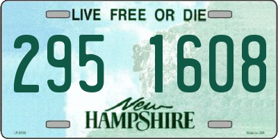 NH license plate 2951608