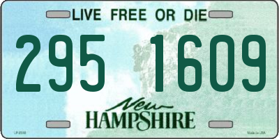 NH license plate 2951609