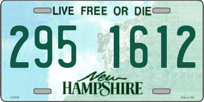 NH license plate 2951612