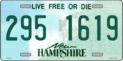 NH license plate 2951619
