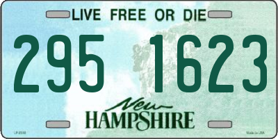 NH license plate 2951623