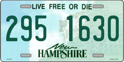 NH license plate 2951630