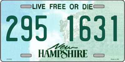 NH license plate 2951631