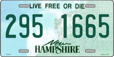 NH license plate 2951665