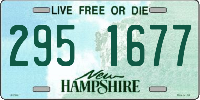 NH license plate 2951677