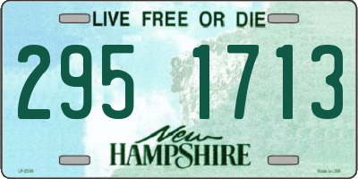 NH license plate 2951713