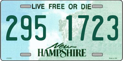 NH license plate 2951723