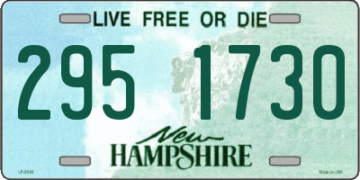 NH license plate 2951730