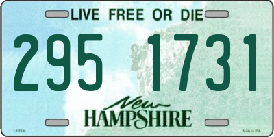 NH license plate 2951731