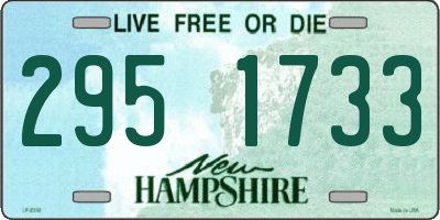 NH license plate 2951733