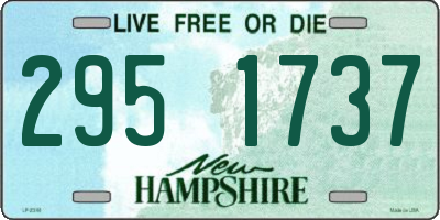 NH license plate 2951737