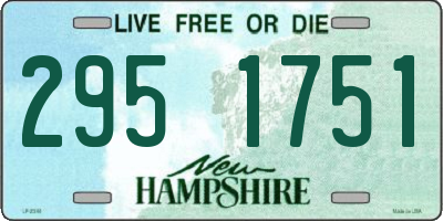 NH license plate 2951751