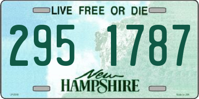 NH license plate 2951787