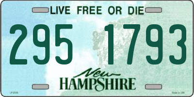 NH license plate 2951793