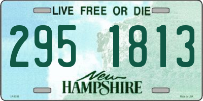 NH license plate 2951813