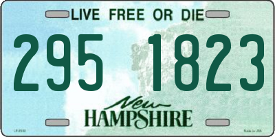NH license plate 2951823