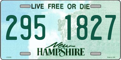 NH license plate 2951827
