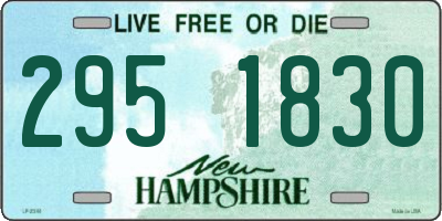 NH license plate 2951830