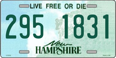 NH license plate 2951831