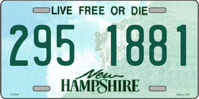 NH license plate 2951881