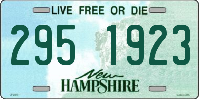 NH license plate 2951923