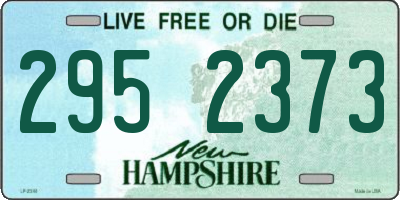 NH license plate 2952373