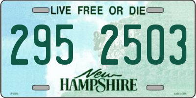 NH license plate 2952503