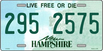 NH license plate 2952575