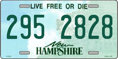 NH license plate 2952828