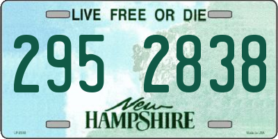 NH license plate 2952838