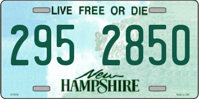 NH license plate 2952850