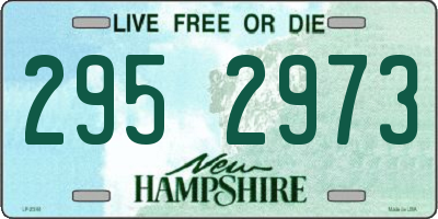 NH license plate 2952973