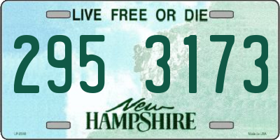 NH license plate 2953173