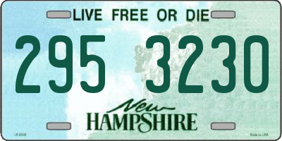 NH license plate 2953230
