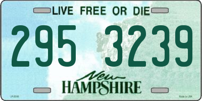 NH license plate 2953239