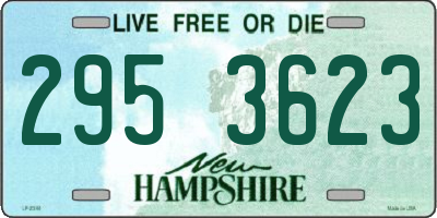 NH license plate 2953623