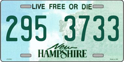 NH license plate 2953733